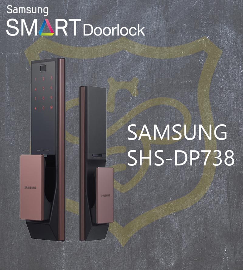 Samsung SHP-DP738