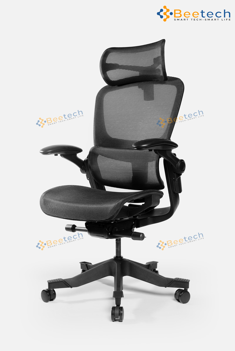 Ghế công thái học Epione Easy Chair