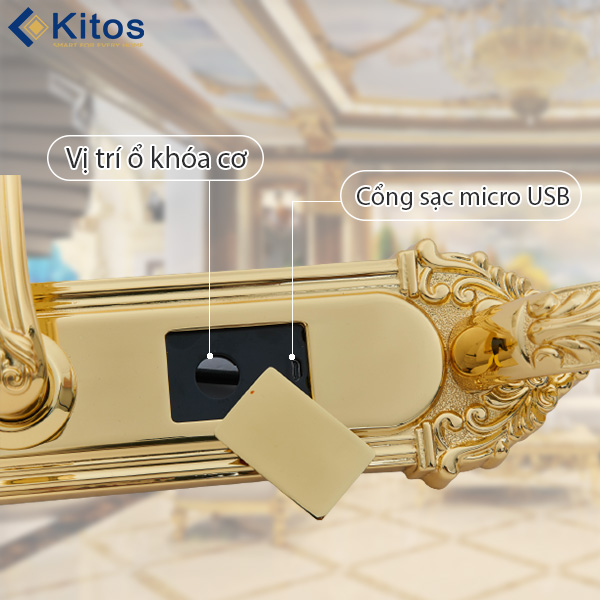 Khóa cửa điện tử tân cổ điển Kitos KT-C800 Golden